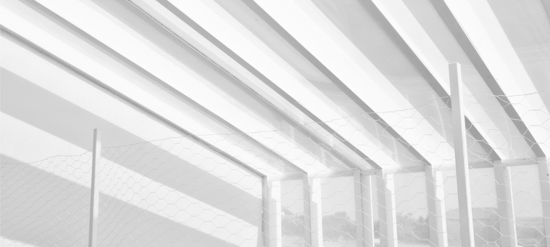 Background image 1