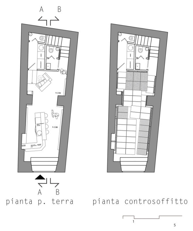 piante piante